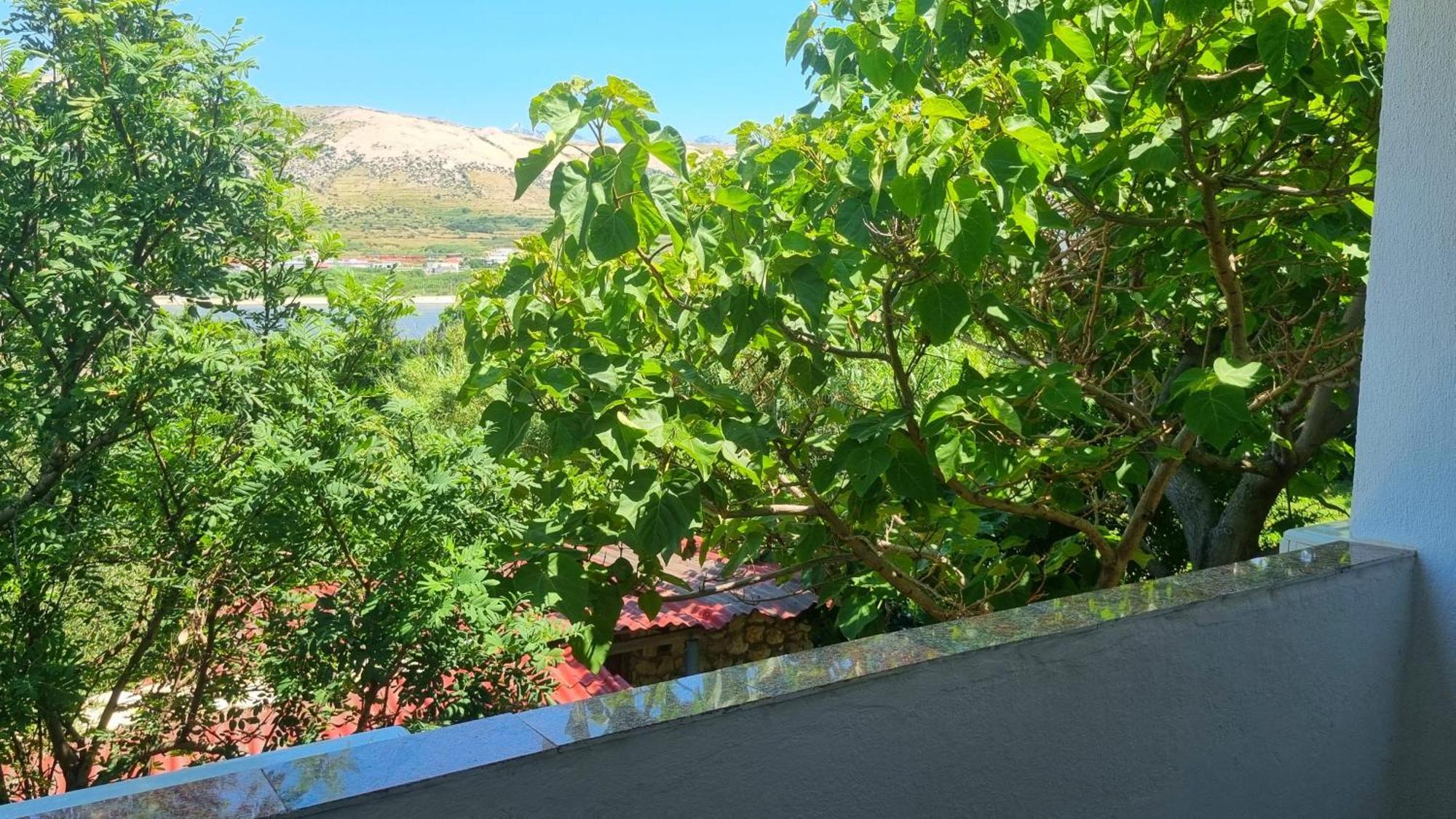 Apartments Seso باغ المظهر الخارجي الصورة